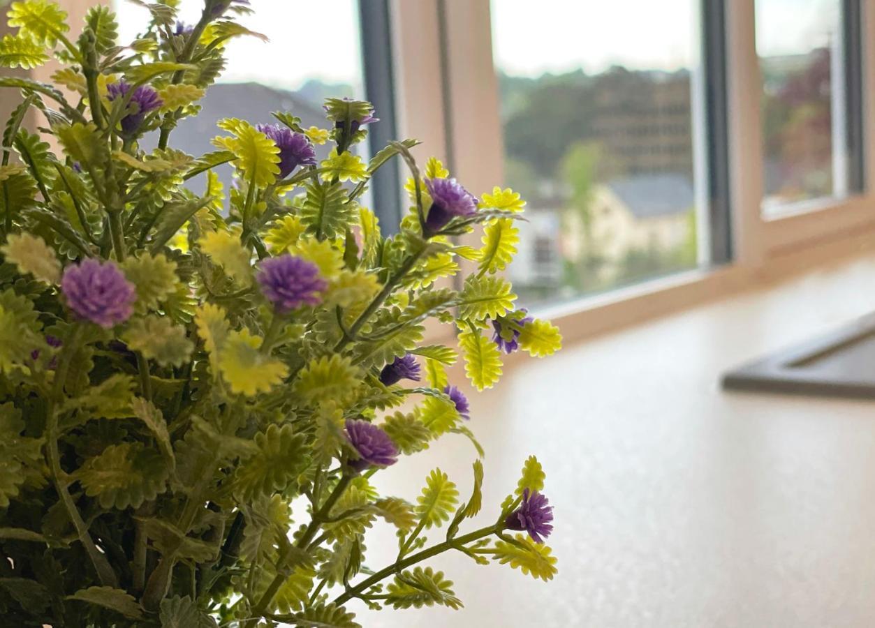 Apartment 'Boho' Yeovil Exteriér fotografie